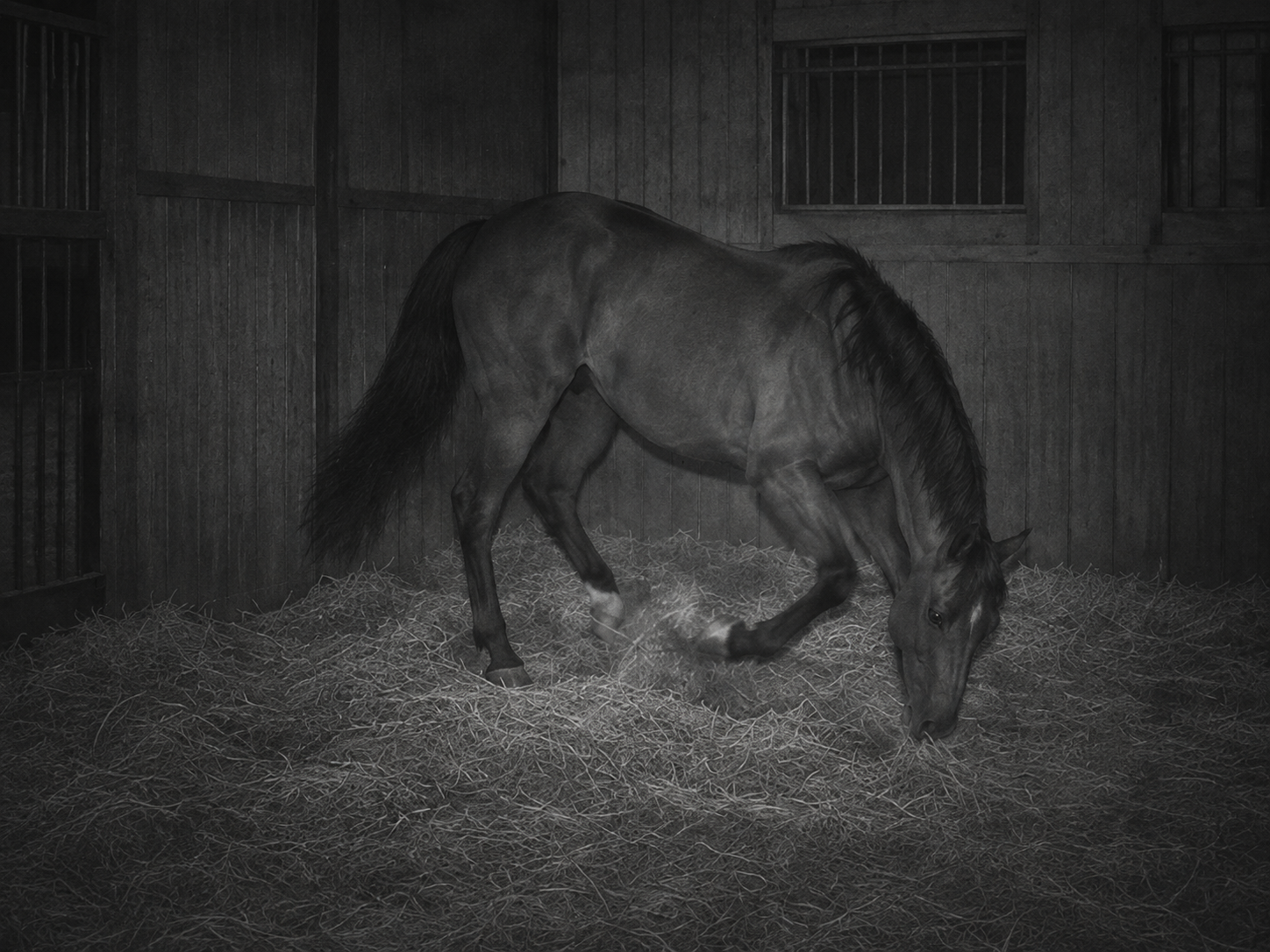 Night camera view of a horse pawing at the bedding in its stall.
